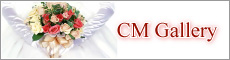 CM Gallery